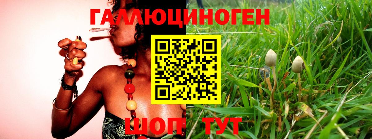 Псилоцибиновые грибы мицелий  Вход с VPN  Камень-на-Оби 