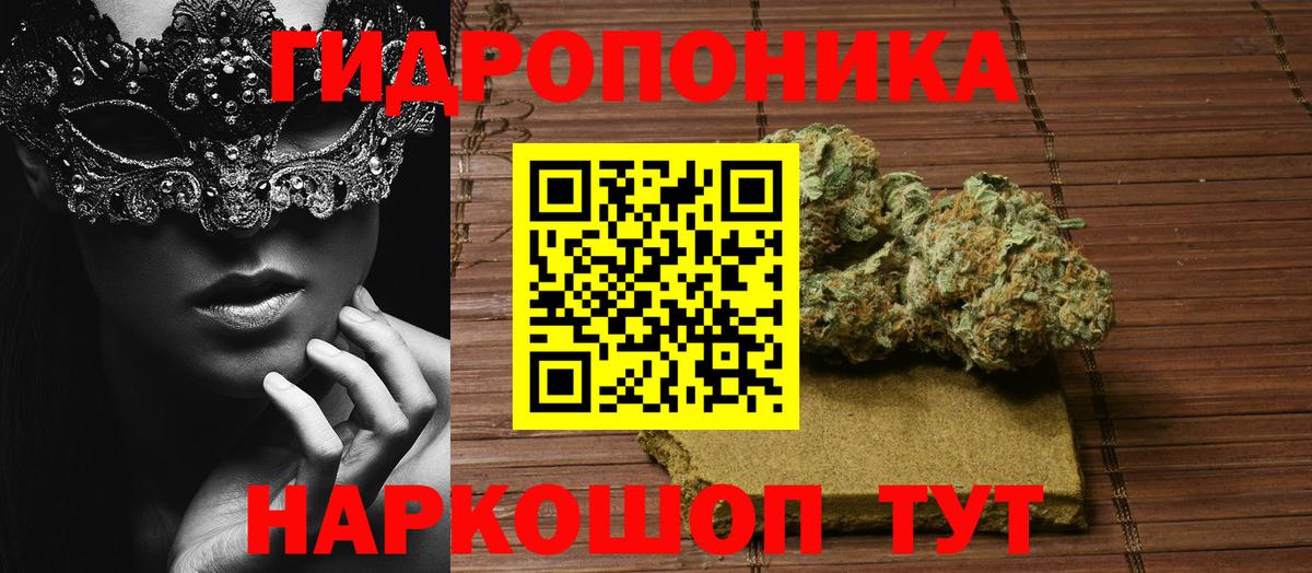 Канабис план  Вход с VPN  Шишки марихуана Amnesia  Камень-на-Оби 
